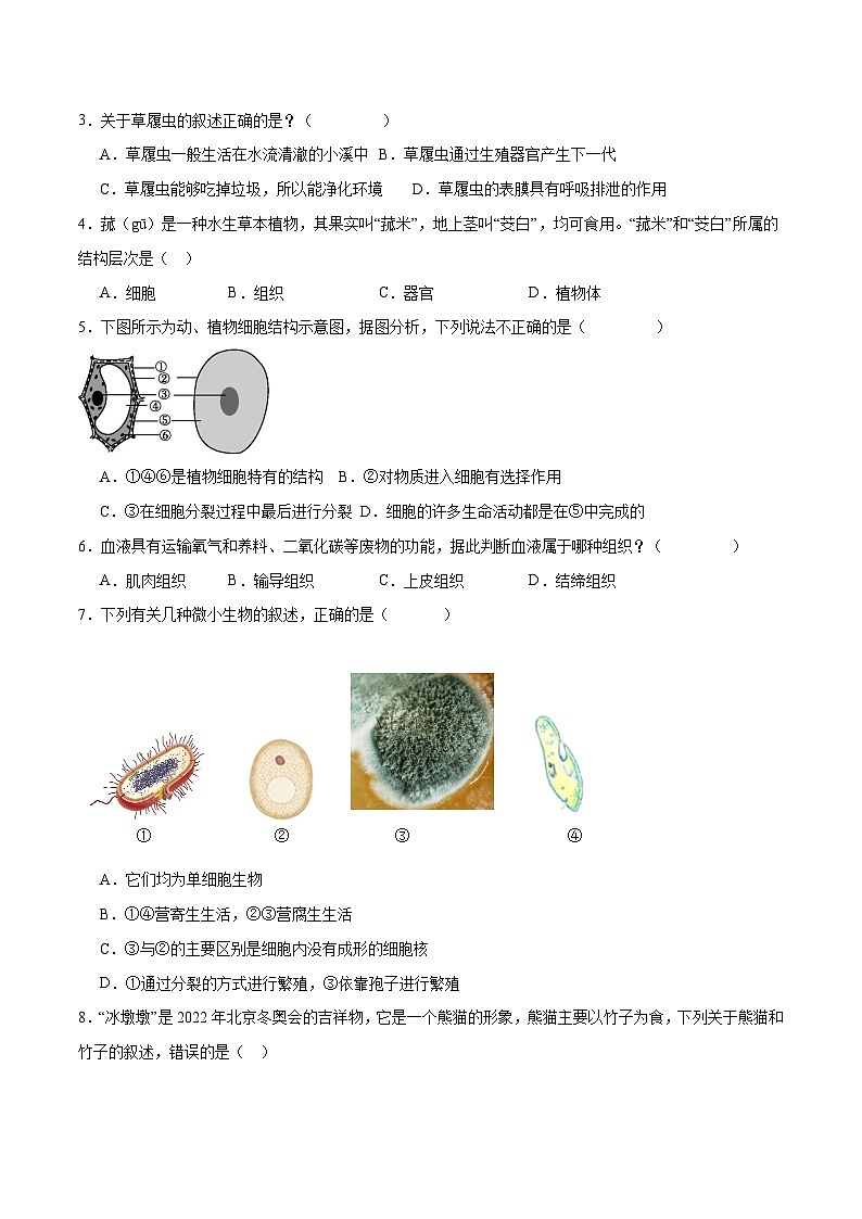 专题03 细胞怎样构成生物体（原卷版）第2页