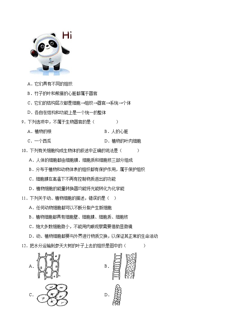 专题03 细胞怎样构成生物体（原卷版）第3页