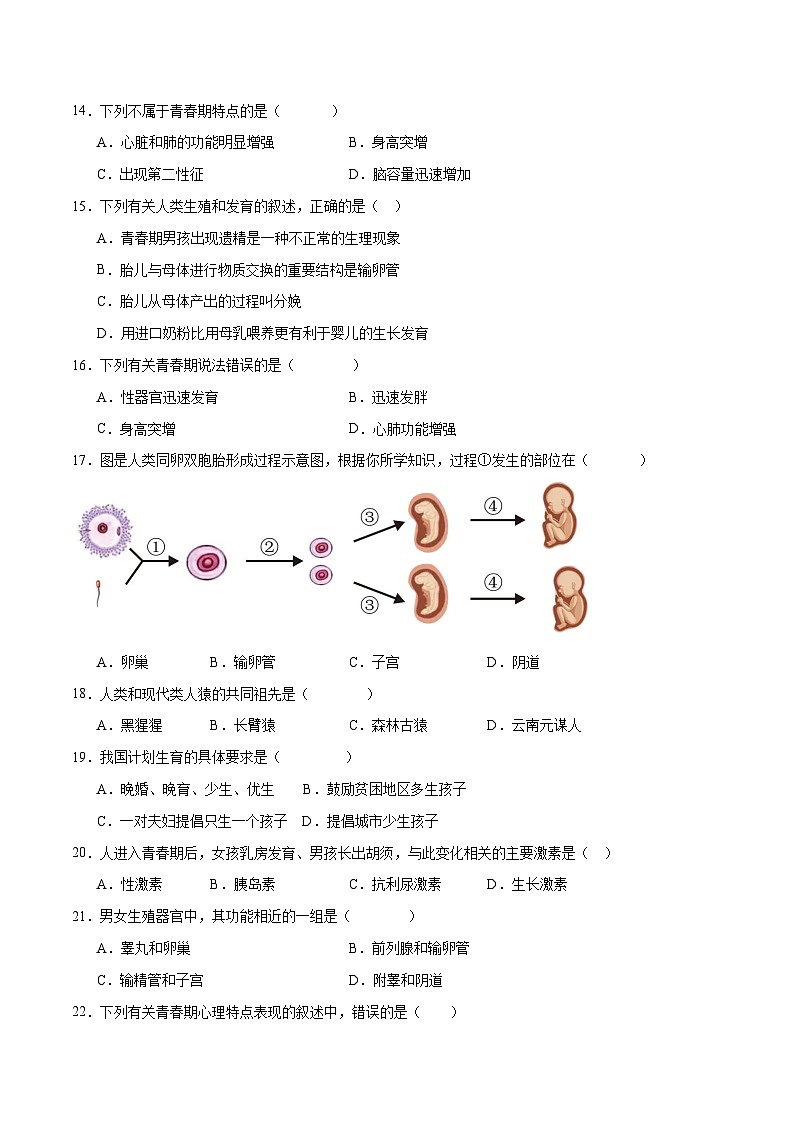 专题09 人的由来（原卷版）第3页