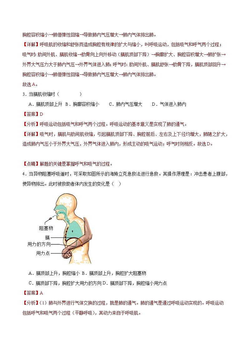 专题11 人体的呼吸（解析版）第3页