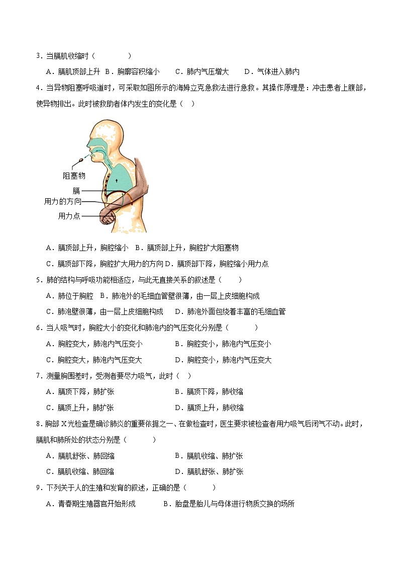 专题11 人体的呼吸（原卷版）第2页
