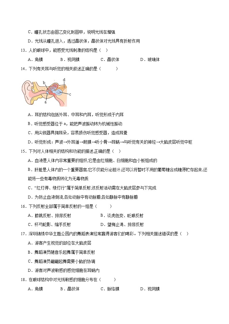 专题14 人体生命活动的调节（试卷版）第3页