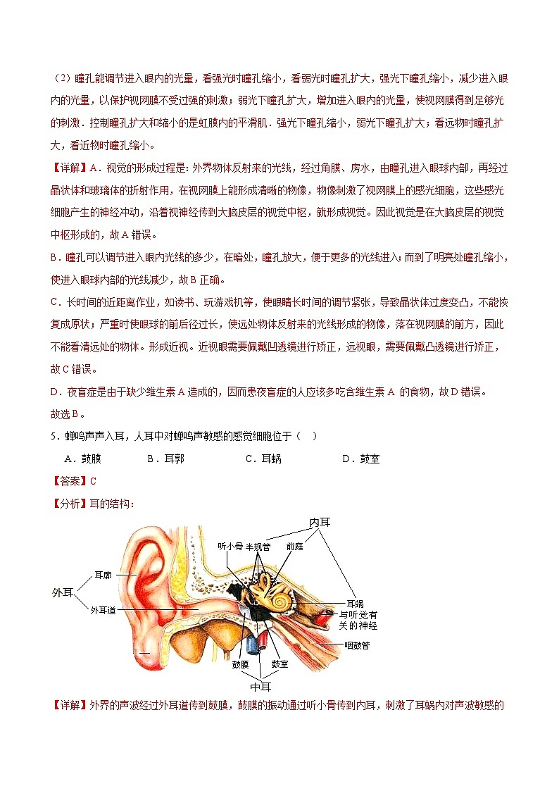 专题14 人体生命活动的调节（解析版）第3页