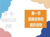 人教版生物八年级上册 5.1.1腔肠动物和扁形动物课件