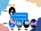 人教版生物八年级上册 5.1.1腔肠动物和扁形动物课件