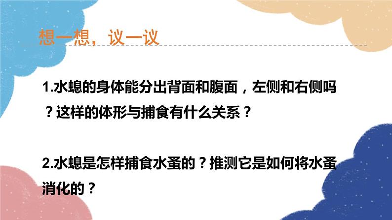 人教版生物八年级上册 5.1.1腔肠动物和扁形动物课件07