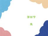 人教版生物八年级上册 5.1.4鱼优化课件