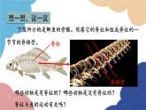 人教版生物八年级上册 5.1.4鱼优化课件
