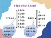 人教版生物八年级上册 5.1.4鱼优化课件