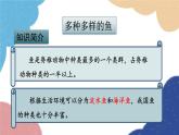 人教版生物八年级上册 5.1.4鱼优化课件