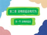 人教版生物八年级上册 5.2.1 动物的运动课件