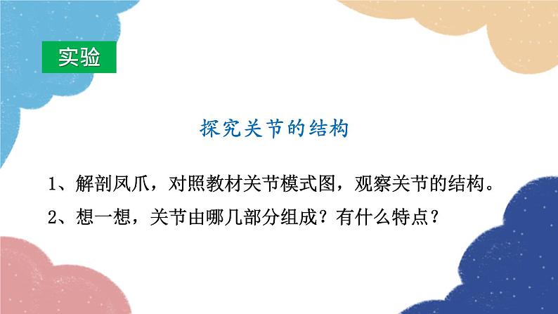 人教版生物八年级上册 5.2.1 动物的运动课件06