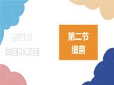 人教版生物八年级上册 5.4.2细菌优化课件
