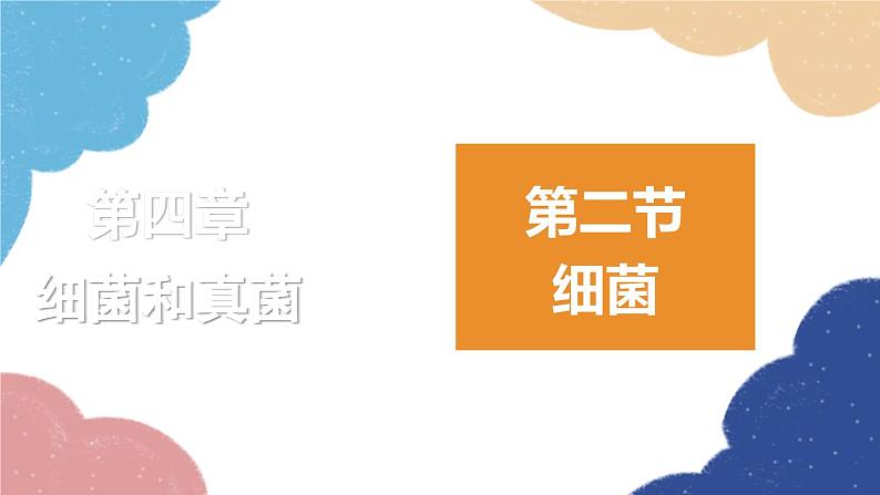 人教版生物八年级上册 5.4.2细菌优化课件01