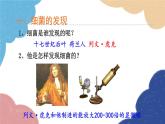 人教版生物八年级上册 5.4.2细菌优化课件