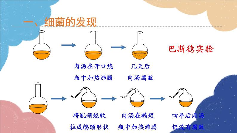 人教版生物八年级上册 5.4.2细菌优化课件08