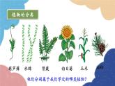 人教版生物八年级上册 6.1.1 尝试对生物进行分类优化课件