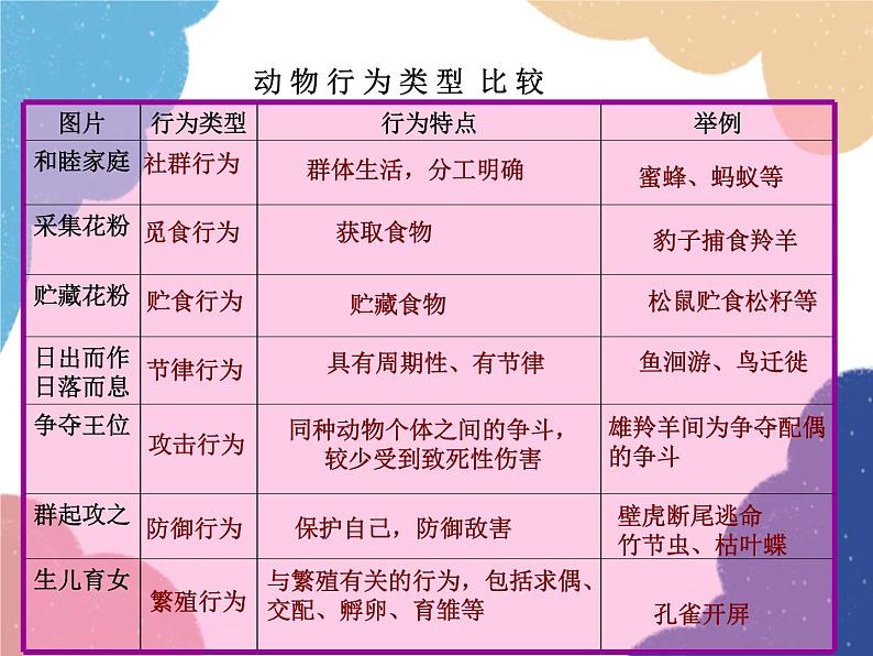 人教版生物八年级上册 动物行为的类型课件05