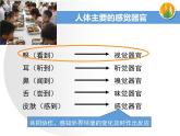4.6.1++人体对外界环境的感知（第1课时）课件-2023-2024学年人教版七年级生物学下册