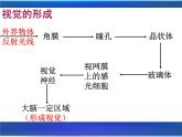 4.6.1++人体对外界环境的感知（第1课时）课件-2023-2024学年人教版七年级生物学下册
