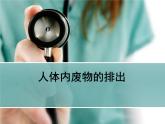 4.5++人体内废物的排出++课件-2023-2024学年人教版生物七年级下册