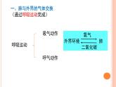 4.3.2++发生在肺内的气体交换++课件-2023-2024学年人教版生物七年级下册