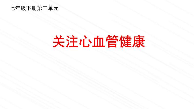 3.3.4++关注心血管健康++课件-2023-2024学年济南版生物七年级下册02