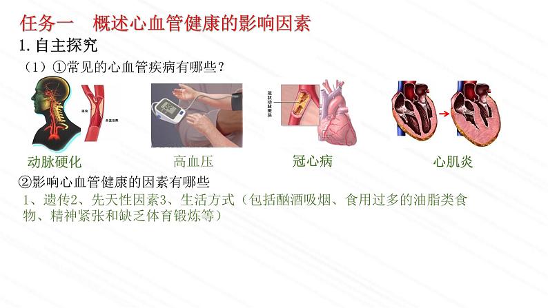 3.3.4++关注心血管健康++课件-2023-2024学年济南版生物七年级下册06