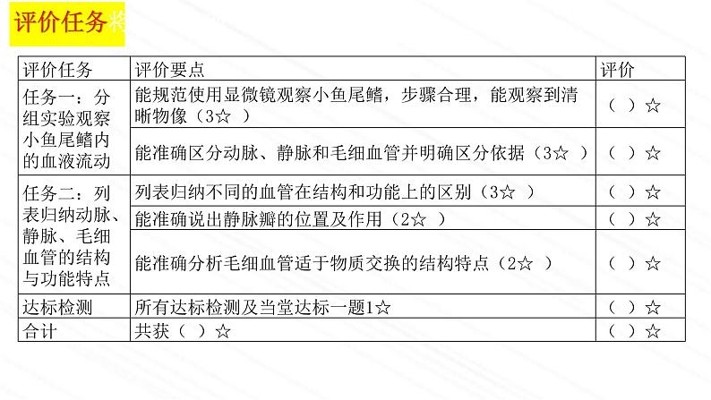 3.3.2++物质运输的器官（第一课时）课件-2023-2024学年济南版生物七年级下册04