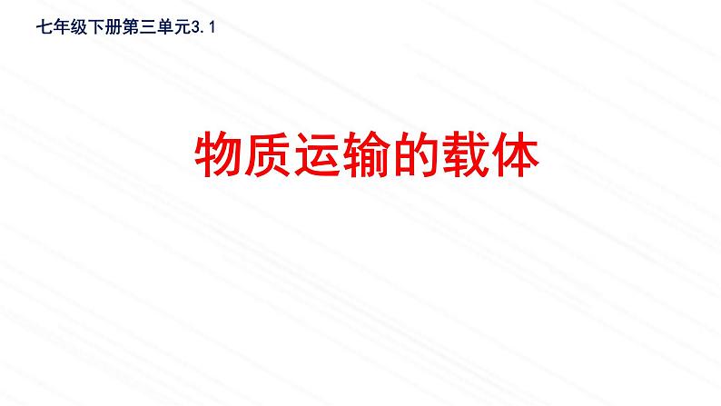 3.3.1++物质运输的载体++课件-2023-2024学年济南版生物七年级下册02