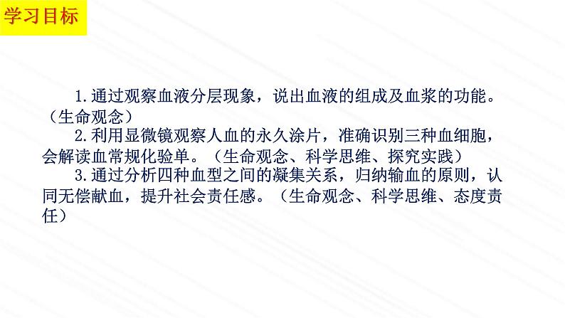 3.3.1++物质运输的载体++课件-2023-2024学年济南版生物七年级下册03