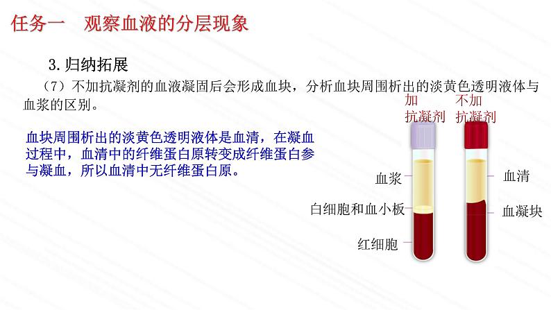 3.3.1++物质运输的载体++课件-2023-2024学年济南版生物七年级下册08