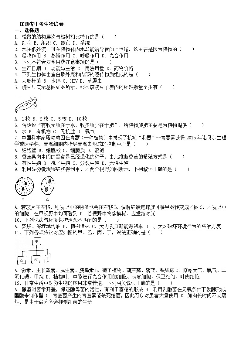 【全套精品专题】初中生物复习专题精讲 江西省中考生物模拟试题（word版，含答案）01