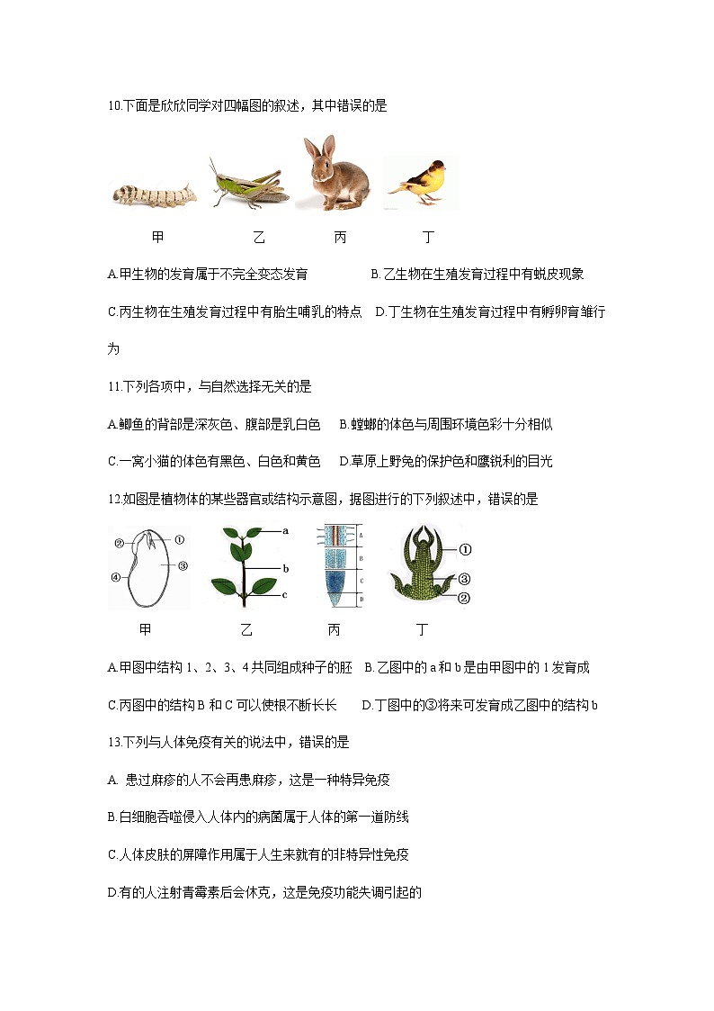 【全套精品专题】初中生物复习专题精讲 四川省内江市中考生物模拟试题（word版，含答案）第3页