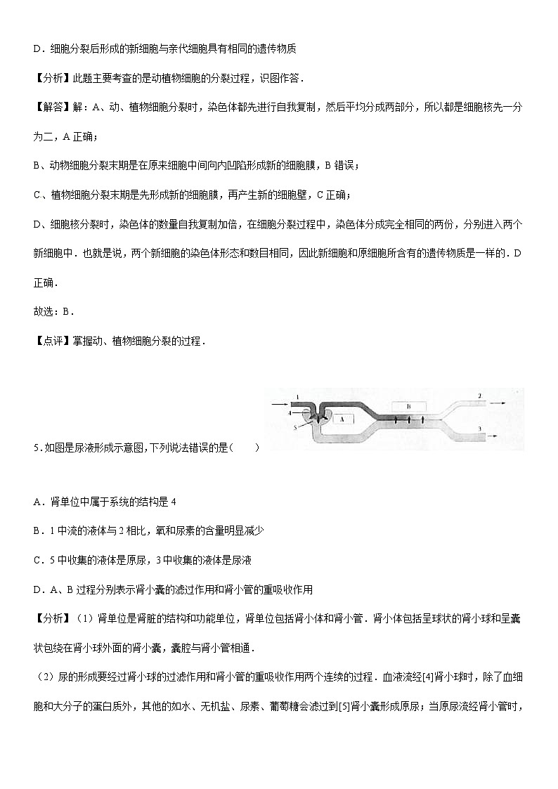 【全套精品专题】初中生物复习专题精讲  四川省遂宁市中考生物模拟试题（word版，含答案）第3页