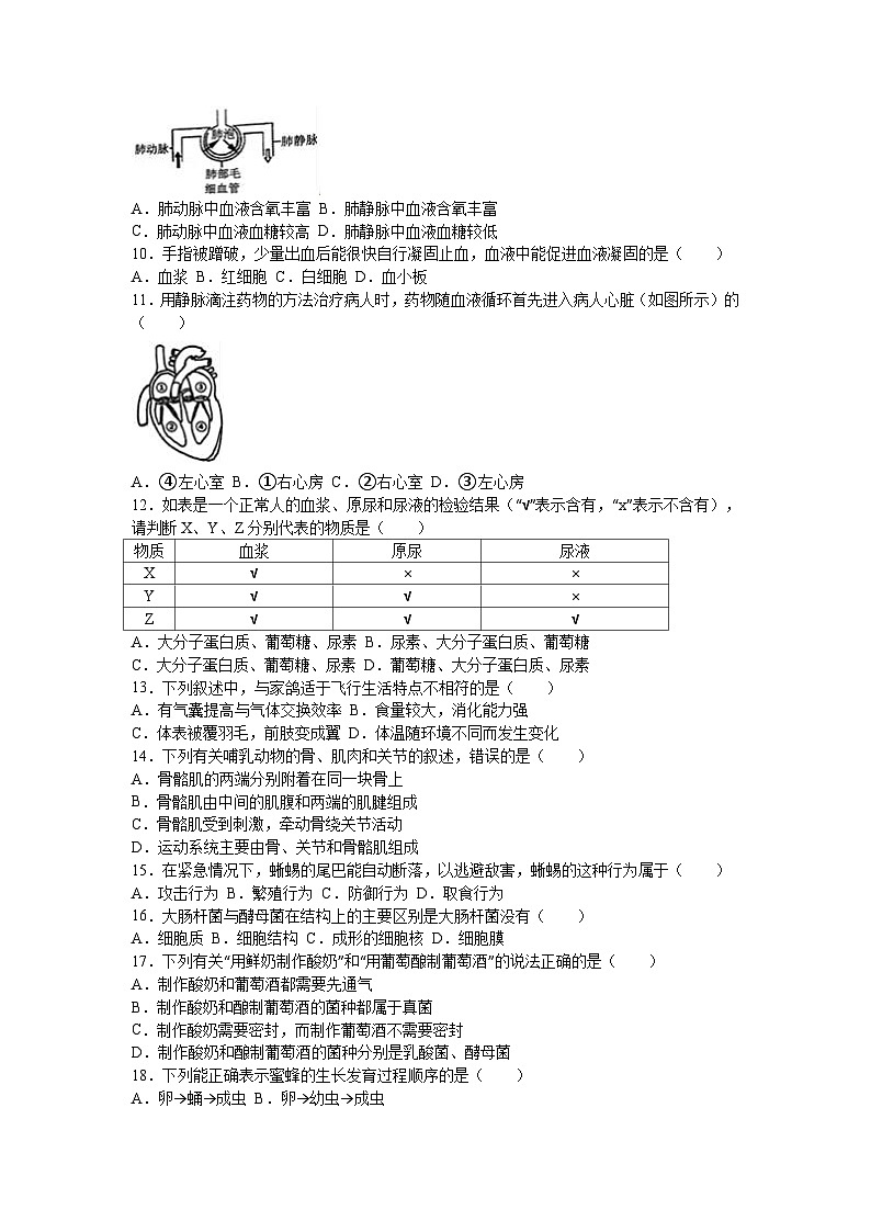 【全套精品专题】初中生物复习专题精讲 安徽省安庆市中考生物模拟试题（word版，含答案）第2页