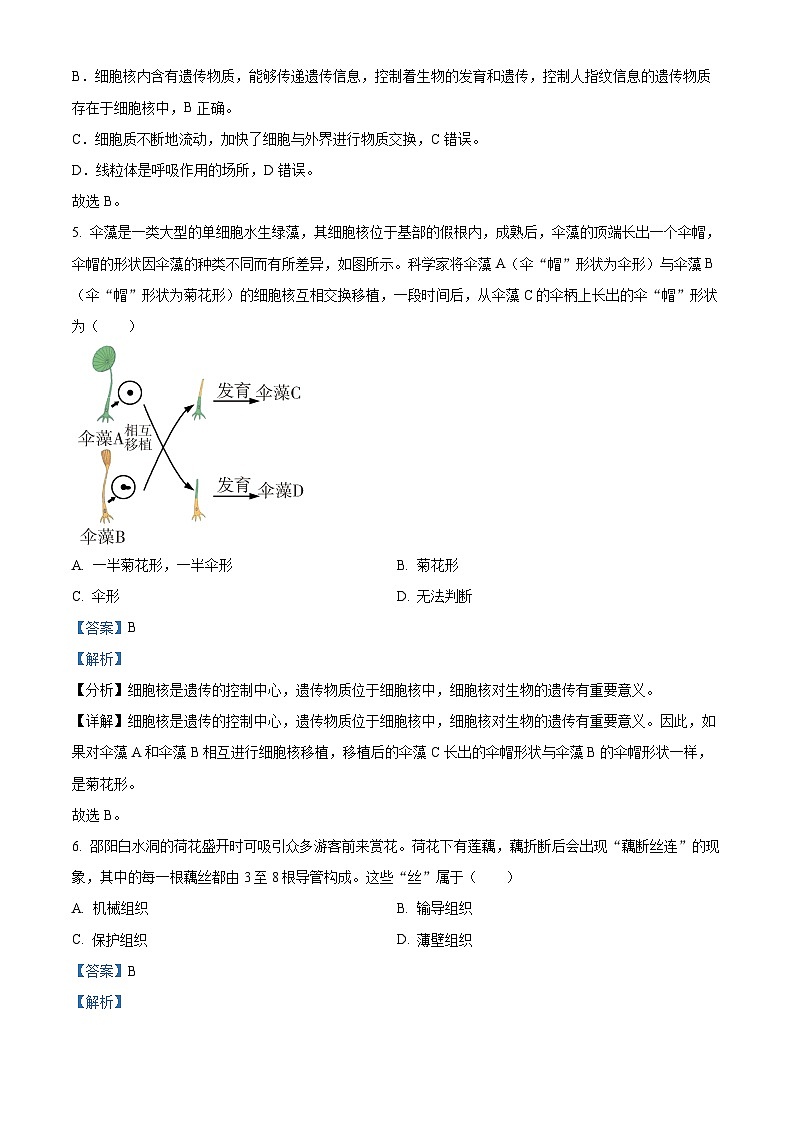 精品解析：湖南省邵阳市新邵县2023-2024学年七年级上学期期末生物试题（解析版）第3页