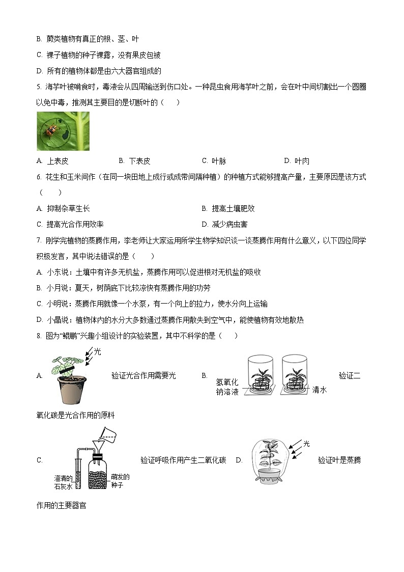 山东省菏泽市东明县2023-2024学年七年级上学期期末生物试题（原卷版+解析版）02