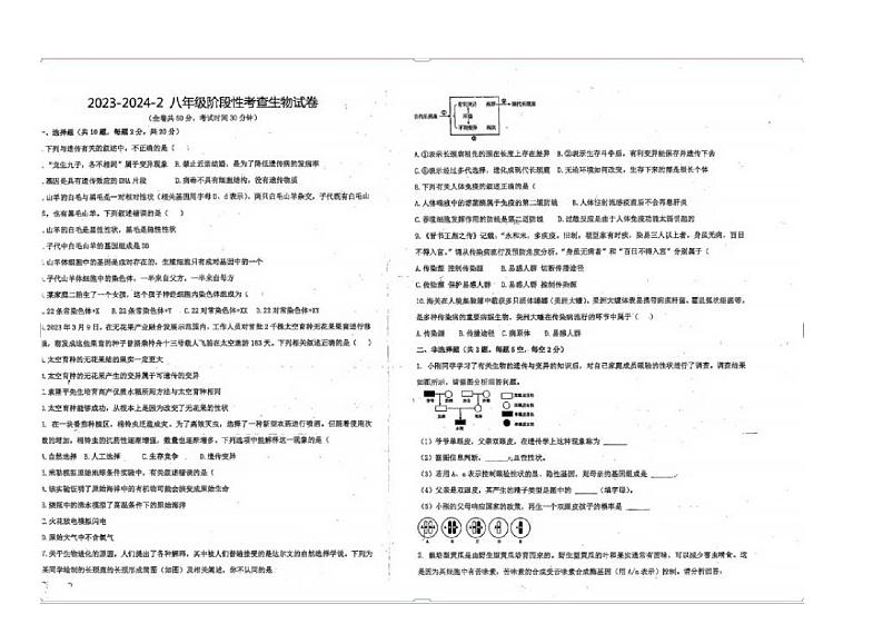 江苏省徐州市第八中学2023-2024学年八年级下学期3月月考生物试题01