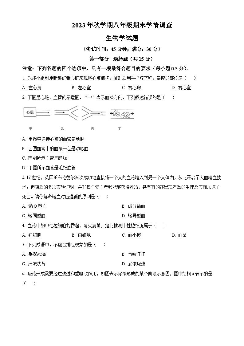 江苏省泰兴市2023-2024学年八年级上学期期末生物试题（原卷版+解析版）01
