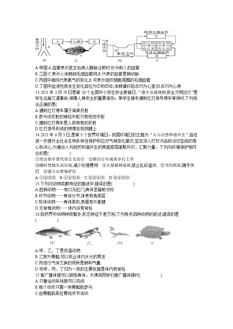 2024年广东省东莞市中考模拟生物试卷（含答案）第3页