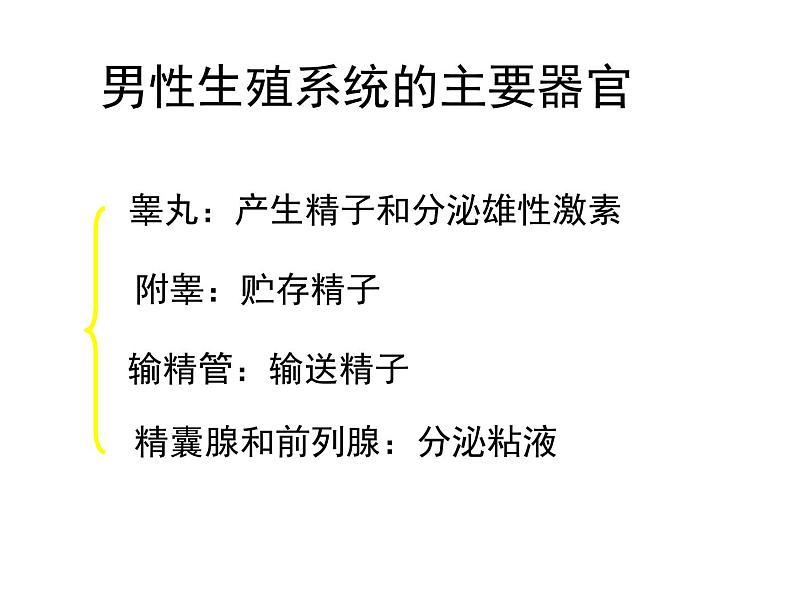 4.1.2人的生殖课件2023-2024学年人教版生物七年级下册第4页