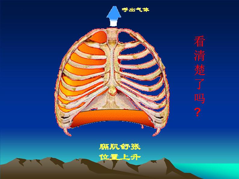 4.3.2发生在肺内的气体交换课件2023-2024学年人教版生物七年级下册第7页