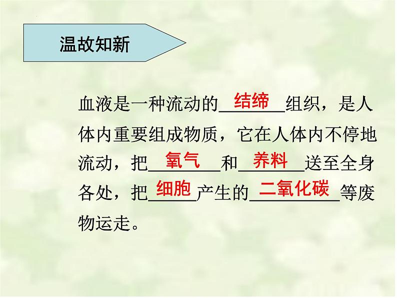 4.4.2血流的管道—血管课件2023-2024学年人教版生物七年级下册02