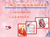 4.4.3输送血液的泵——心脏课件2023-2024学年人教版生物七年级下册