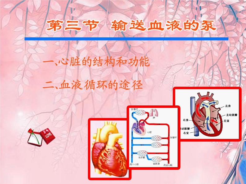 4.4.3输送血液的泵——心脏课件2023-2024学年人教版生物七年级下册第1页