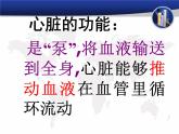 4.4.3输送血液的泵——心脏课件2023-2024学年人教版生物七年级下册