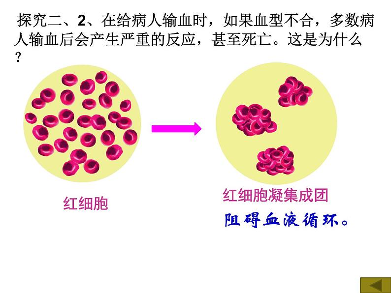 4.4.4输血与血型课件2023-2024学年人教版生物七年级下册03