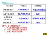 4.4.4输血与血型课件2023-2024学年人教版生物七年级下册