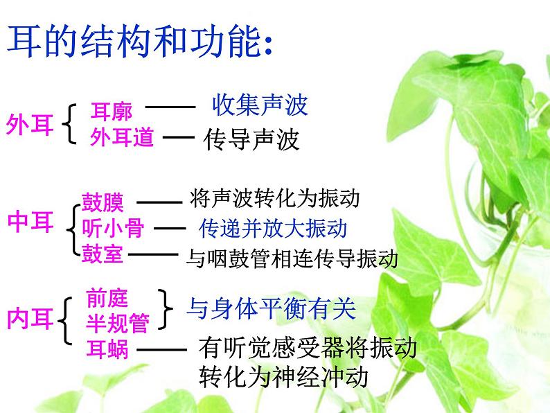 4.6.2神经系统的组成课件2023-2024学年人教版生物七年级下册第4页